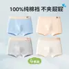 Roupa Íntima Masculina, Algodão Puro, Algodão Classe A, para Meninos Adolescentes, Período de Desenvolvimento, Meninos, Crianças de Tamanho Médio e Grande, Boxer Briefs de Tamanho Grande