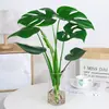 Monstera Hidropónica en Maceta Interior Plantas Verdes Fáciles de Cultivar Sala de Estar Oficina Grande Celebridad de Internet Estilo Tropical Escandinavo Pila Vieja