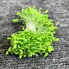 Mini simulación 2 mm plano malta rosa material de media bud de flor mate núcleo de flor material al por mayor