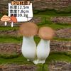 Simulação de cogumelo Pleurotus ostreatus cor cogumelo conjunto fotografia janela decoração macia adereços PU falso cogumelo modelo vegetal