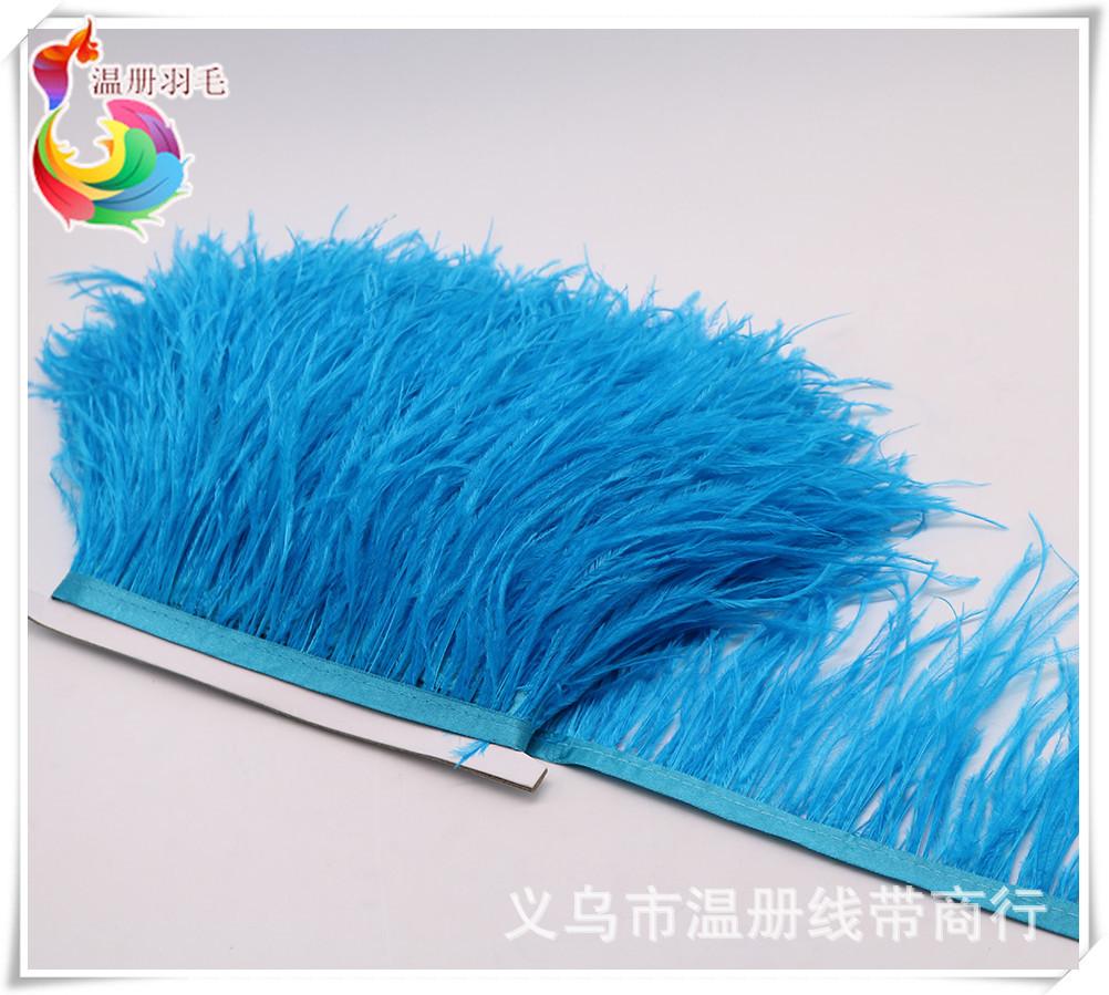 6 lake blue ostrich feather fr