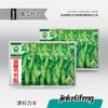Fabricante Original Atacado Sementes de Pepino Fruta Sementes de Pepino Seco Doce Crocante Melão de Outono Legumes de Primavera e Outono Sementes de Melão e Frutas