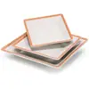 Plato Plano Rectangular de Melamina A5 Estilo Porcelana Creativa Japonés Comercial para Hot Pot Plato de Plástico Plato para Sushi Plato para Barbacoa Plato para Platos Fríos