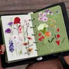 50 Piezas de Pegatinas Transparentes de Pétalos Florales, Estilo Ins Realista, Exquisitos Materiales para Journaling Femenino, Caja de Almacenamiento, Pegatinas Guka