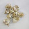 Concha galvanizada DIY Accesorios de joyería Pendientes Colgante Colgante Creativo Hecho a mano Concha natural