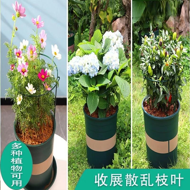 ec745ae8-9456-4dcb-b687-4c97bb938b7b.jpe