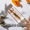 Especímenes de Insectos Artesanales Jingling: Escarabajo, Escorpión, Mantis, Araña - Educación en Ciencias Biológicas, Regalos de Nicho, Adornos de Resina