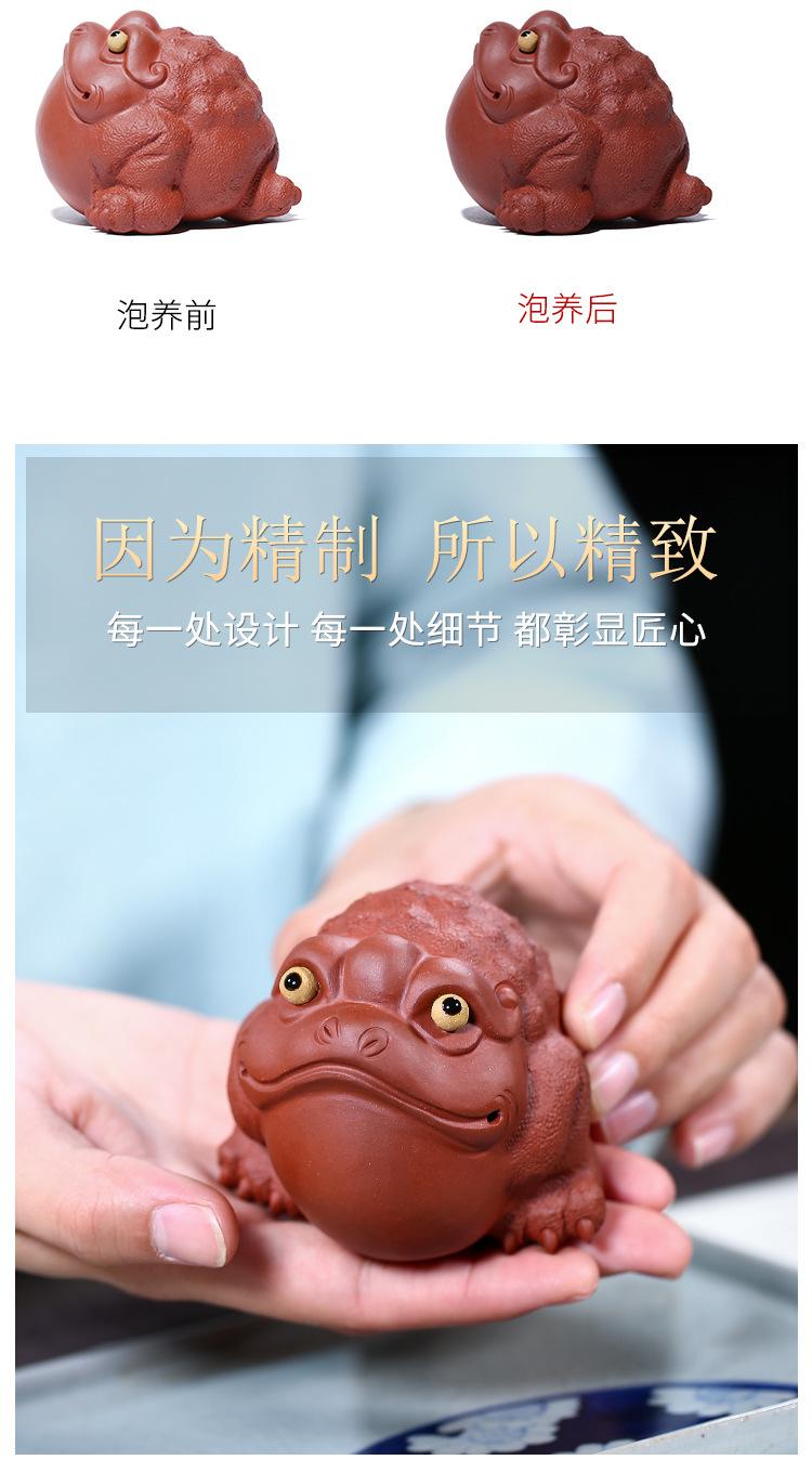 金蟾，求财金蟾2019 11 10