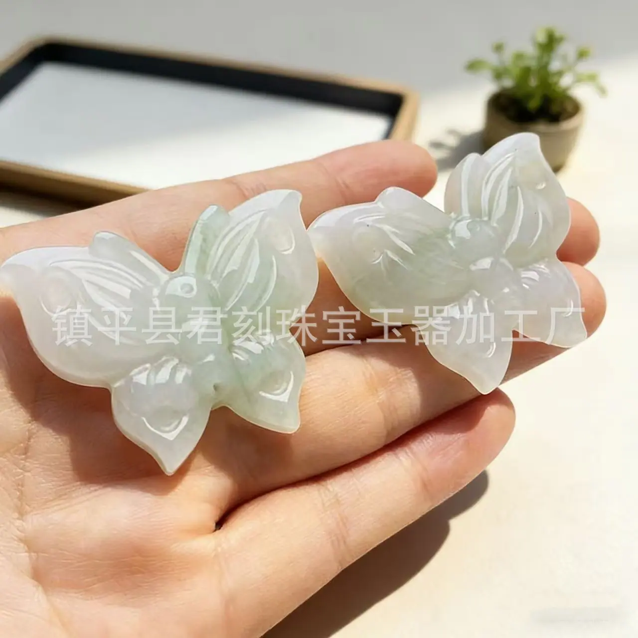 微信图片_20260305185312_10682_124.