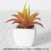 Suculentas Simuladas Personalizadas Cerámica Bonsái Plantas Verdes Escandinavas Adornos Hogar Interior Sala de Estar Flores Falsas Suculentas Plantas en Maceta