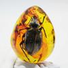Colgante de cera de abejas con insecto real de ámbar, espécimen de insecto, moda creativa, novedoso, colgante de ámbar en forma de gota, accesorios colgantes