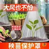 Plántulas de verduras y plantas, plántulas, plántulas, cultivo de plántulas en invernadero, conservación del calor, protección contra insectos, protección contra pájaros, protección contra heladas, cubierta protectora