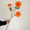 Fragancia oscura de 3 cabezas dalihua decoración para el hogar sala de estar crisantemo de bola pequeña sala de bodas fondo principal área de bienvenida pequeña decoración floral