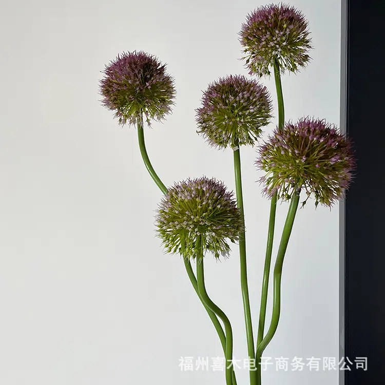 photo-output_0 3.JPG