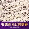 Arroz Glutinoso Negro Tailandés y Bolas de Arroz Glutinoso Blanco Venta al por mayor personalizada para restaurantes, Bolas de Arroz Taiwanés Agarradas a Mano Arroz Glutinoso de Grado de Franquicia