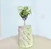Cabide Abacaxi de Ar Mini Abacaxi de Ar Base de Mola Suporte de Madeira Regador de Névoa Fina Prateleira Fixa Overlord