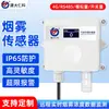 Sensor de Fumaça Sala de Servidores Sistema de Detecção de Fumaça em Rede Sensor de Fumaça Industrial Inteligente Transmissor Rs485