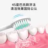 Fornecimento Direto da Fábrica de Escovas de Dente Sônicas Domésticas, Escovas de Dente Elétricas com Cerdas Macias, Escovas de Dente Elétricas Recarregáveis para Adultos no Atacado