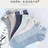 Calcetines Estilo Nuevo 2022 para Mujer Estilo Coreano Calcetines Cortos Boca Baja Lindo Seda de Cristal Verano Delgados Encaje Medias de Cristal