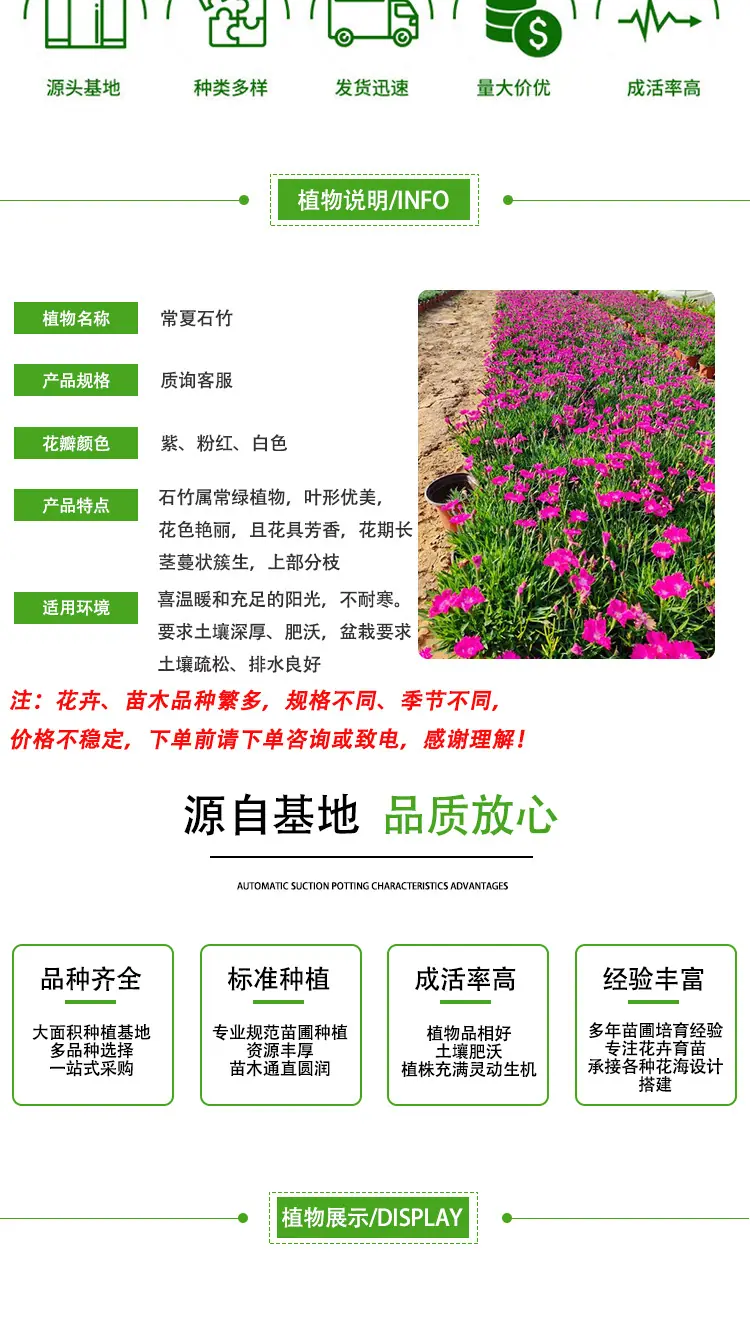 详情页_02