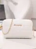 Bolsas para Mujer Moda Retro Estampado de Lunares Bolso Cuadrado Pequeño Compacto Simple Cadena Bolso para Teléfono Móvil Bandolera Bolso de Mujer