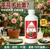 Solución Nutritiva Especial para Camellias en Maceta, Promueve la Floración, Previene el Amarillamiento de las Hojas y la Caída de Brotes, Adecuada para Plantas Acidófilas, Fertilizante Líquido Soluble en Agua
