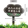 Horta Externa Flor e Planta Jardim de Infância Jardim Plantio Solo de Jardim Placa de Madeira Placa de Madeira Gravada Personalização