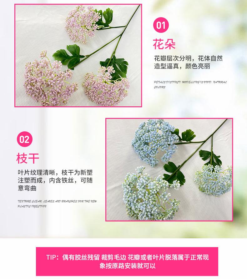 产品细节2-最终.jpg