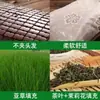 Alfombrilla Refrigerante de Bambú con Hojas de Té de Verano Almohada Almohada Dura Individual Verano Adulto Mahjong Seda Helada Ratán Fresco Dormitorio Almohada para Estudiante
