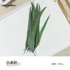 Materiais para Artesanato DIY de Flores Eternas no Atacado, Flores Secas, Frutas Secas, Rodelas de Laranja, Pinhas, Adereços para Fotografia de Flores, Materiais para Artesanato DIY de Jardim de Infância