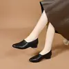 Otoño 2026 Nuevo Estilo Tacón Bajo Piel Suave Suela Suave Cómodas No Cansan los Pies Versátiles Zapatos de Mamá Para Todas las Estaciones Zapatos de Una Sola Pieza Ligeros Zapatos de Moda