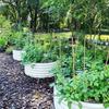 Caja de Plantación Metálica para Jardín, Caja de Plantación Metálica Móvil para Verduras en Patio, Cama de Plantación, Maceta Metálica para Flores en Azotea, Maceta para Flores, Maceta para Flores de Exterior