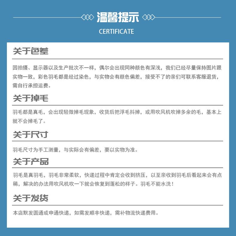 09-详情页--温馨提示