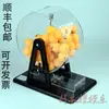 Máquina de bolas agitadoras accesorios máquina de lotería Máquina de bolas de doble color caja de selección de números máquina de lotería máquina de lotería para ayudar Actividad Barra pedido de vino