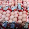 Bolsa de Malla para Huevos Bolsa de Red Bolsa de Red para Empaque de Snacks de Supermercado Malla Fina Suave Bolsa de Malla Encriptada