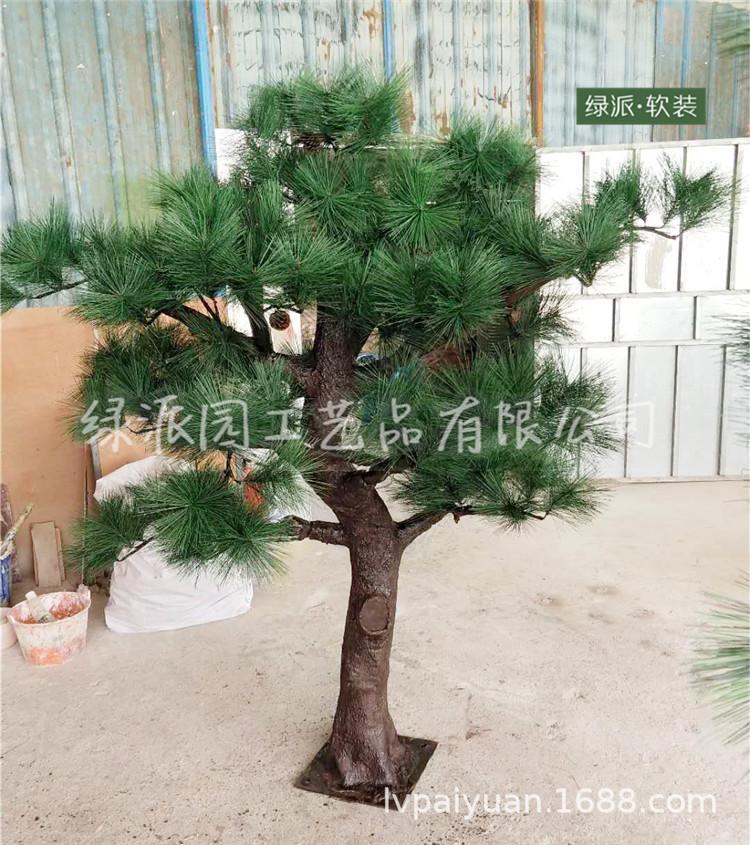 迎客松1335.jpg
