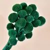 Bolas Doradas del Fabricante, Flores Naturales Reales, Materiales para Manualidades, Decoración del Hogar para la Sala de Estar, Arreglos Florales, Adornos de Flores Secas, Martillos Dorados
