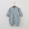 Mameluco para recién nacido de algodón puro para primavera y otoño, manga larga, básico, sin costuras, para gatear, ropa interior de otoño e invierno para bebé, ropa de casa