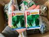 Suprimentos de Drenagem para Floricultura [Embalagem Mini 6,5x8,8cm] Atacado de 30 Sacos de Sementes de Vegetais à Sua Escolha