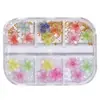 Set de Decoración para Uñas Artísticas Flor de Cinco Pétalos Multicolor de 6 Rejillas Flores Pequeñas de Resina Mezcladas Combinación de Perlas Blancas y Cuentas de Acero Dorado