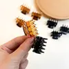 2026 Novo Modelo Beleza Orelha Acuponto Pequeno Grampo Garra para Apertar e Levantar o Rosto, Pequeno Grampo para Franja e Fios Soltos