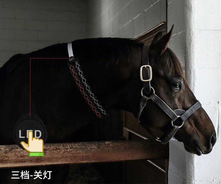 K4002-LED绳绣马脖 (8-1).gif