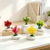 Micro-paisaje Simulación Planta Verde Planta en Maceta Estilo Nuevo Maceta Plana de Piedra Flor Artificial Adorno Decoración Sala de Estar del Hogar Bonsái Artificial