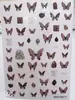 2024 Nuevo Joyería Japonesa para Uñas Rosa con Pegamento Mariposa Adhesiva Ai Saint Mariposa Ilustraciones Nuevo Paquete para Uñas