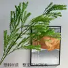 2026 Nuevo Modelo Plantas Verdes Artificiales Hierba de Espárrago Asparagus Asparaginea Decoración de Boda Flores Falsas Verdes Paisajismo Fotografía Plantas Verdes Estilo Bosque