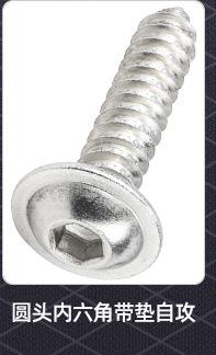 圆头内六角自攻螺丝_02_05.jpg