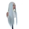 Peluca plateada gris con encaje frontal para mujer, cabello largo y liso con raya en medio, peluca elegante de cabeza completa hecha de fibra sintética de alta temperatura
