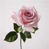 Alta Qualidade Cor de Outono Sensação Hidratante Rosa Corolla Novos Adereços de Fotografia Mesa de Jantar Decoração de Casa Interna Enfeites