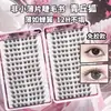 30 pares de cílios postiços Qingqiu Fox sem cola 2.0, apresentando um estilo natural de olho de raposa e um grande volume de 240 tufos por caixa.