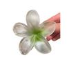 Explosiones de Espejo Cruzado Europeas y Americanas Pinza de Flor de Huevo de Color Tridimensional Anti-Falso Pinza Grande para la Parte Posterior de la Cabeza Accesorios para el Cabello para Mujer Tocado